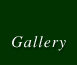 bu-gallery.gif